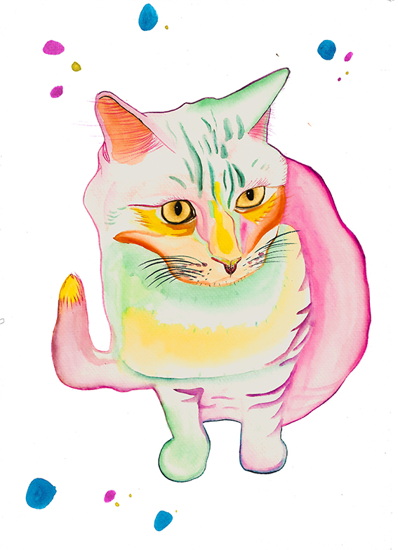 Retrato físico de mascotas coloridas